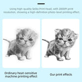 Mini CAT Thermal Bluetooth Printer